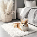 2x2 Machine Washable Small Rug (2×2 Ft Square / Ivory)