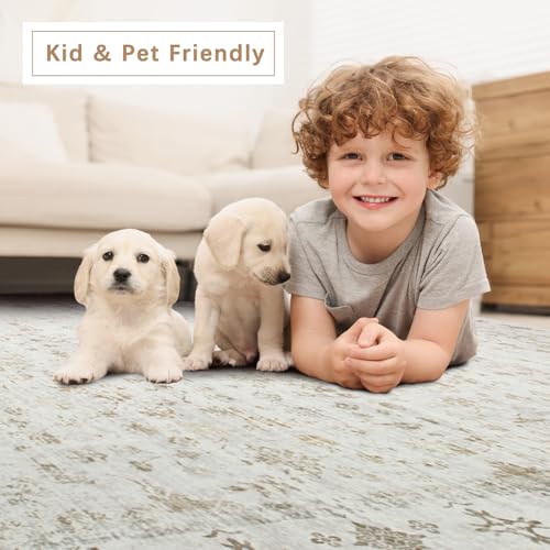 8x10 Washable Area Rugs for Living Room (8' x 10' (Rectangular) / Beige-golden)