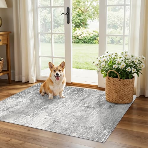 Abstract 2x3 Entryway Area Rugs (2' x 3' (Rectangular) / Light/Grey)