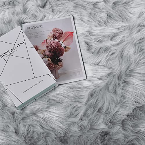 Grey Fluffy Fuzzy Rug for Bedroom Dorm 3x5 Gray Furry Faux Fur Shaggy Carpet Living Room Sheepskin Soft Plush Rectangle (3' x 5' (Rectangular) / Grey)