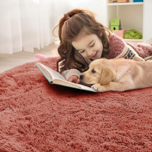 Rust Red Round Rugs for Bedroom (8 Ft Round / Rust Red)