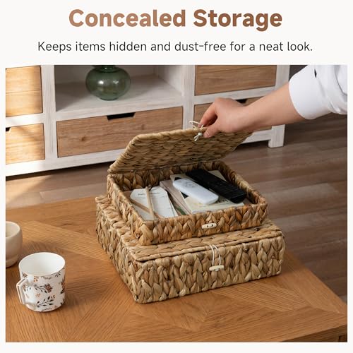 Wicker Basket with Lids (Natural(Water Hyacinth) / 12¾"L x 11¼"W x 4¼"H + 11"L x 9¼"W x 2½"H)