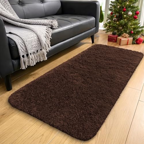 2x4 Machine Washable Runner Rugs for Hallway (2x4 Ft / Coffee)