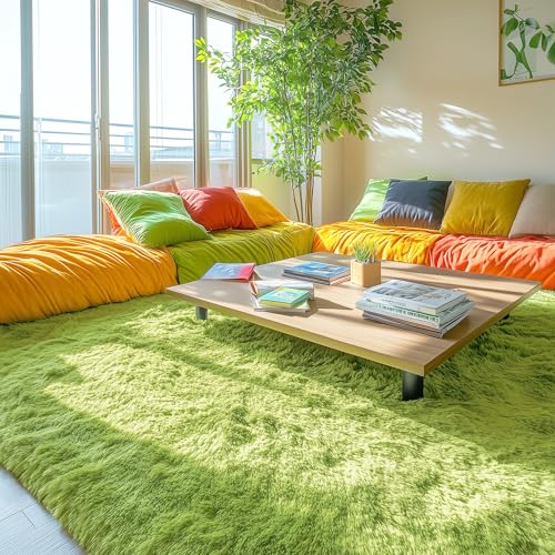 5x7 Machine Washable Large Area Rugs for Living Room (5x7 Ft / Grass Green)