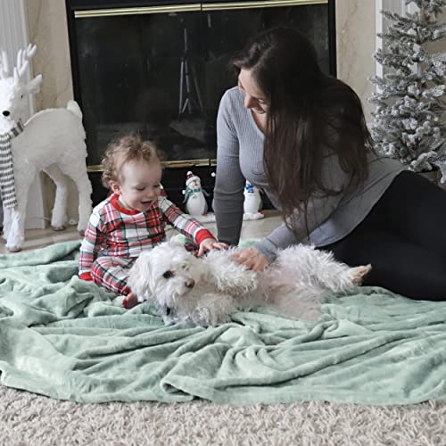 GentleSoft Fleece Blanket Twin Size Sage Green (05 - Sage Green / Twin (60" X 80"))