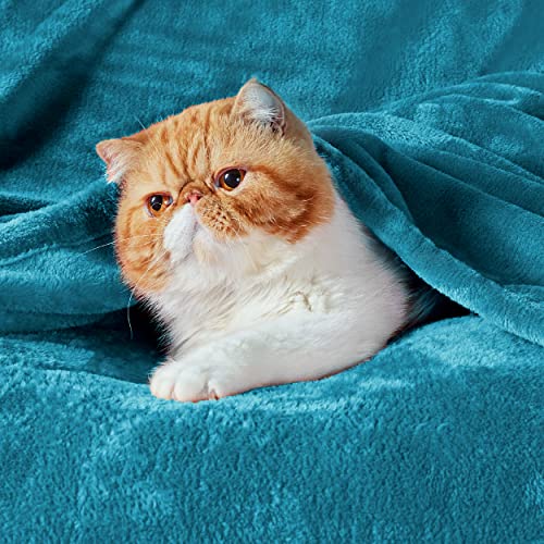 GentleSoft Bedding Fleece Blanket for Girls and Boys (Teal Blue / Kids (43" x 55"))