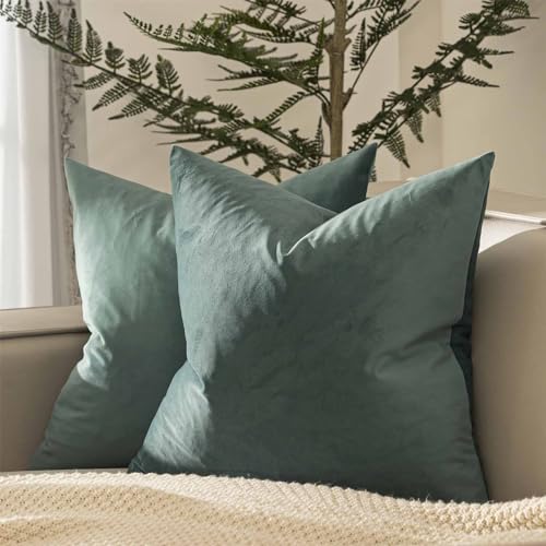 16x16 Velvet Throw Pillow Covers Set of 2 for Couch Sofa Bed (Emerald / 16" x 16" (Pack of 2))