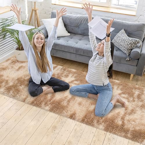Super Soft Fluffy Living Room Area Rugs 2x10 ft Tie (Tie-dyed Beige / 2' x 10' (Runner))