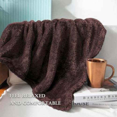 Fuzzy Large Fleece Throw Blanket for Couch (Coffee / 50x70 IN)