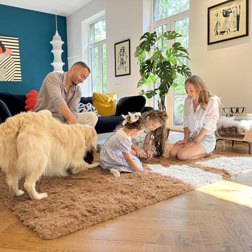 5x7 Machine Washable Large Area Rugs for Living Room (5x7 Ft / Khaki)