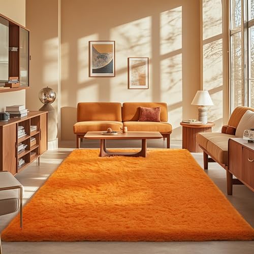 Orange Rugs for Living Room Bedroom (Orange / 5' x 8' (Rectangular))