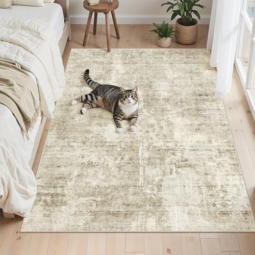 Abstract 3x5 Rugs (Beige/Gray / 3' x 5' (Rectangular))