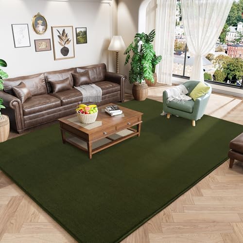 Olive Green Area Rugs for Bedroom Living Room (4' x 6' (Rectangular) / Olive Green)