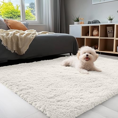 4x8 Area Rugs for Living Room Bedroom (4x8 Ft / Ivory)