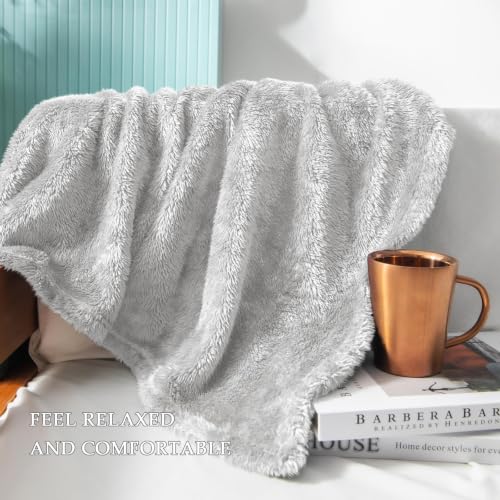 Fuzzy Plush Fleece Bed Blanket Queen Size (Light Grey / 90x90 IN)