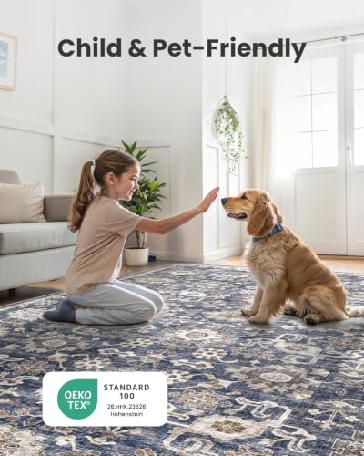 Amada 5x7 Washable Area Rug for Living Room (5' x 7' (Rectangular) / Blue/Brown)