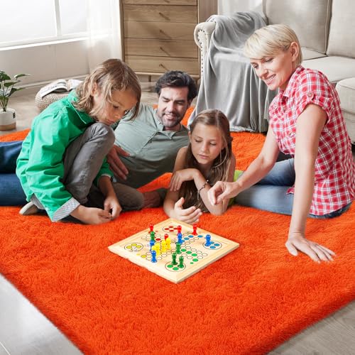 Orange Shag Area Rugs for Bedroom Living Room