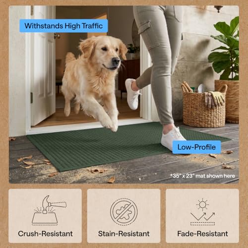 HydroABSORB Door Mat for Indoor Outdoor Use (Green / 35" X 23")