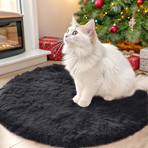 Black Round Rugs for Bedroom (2 Ft Round / Black)