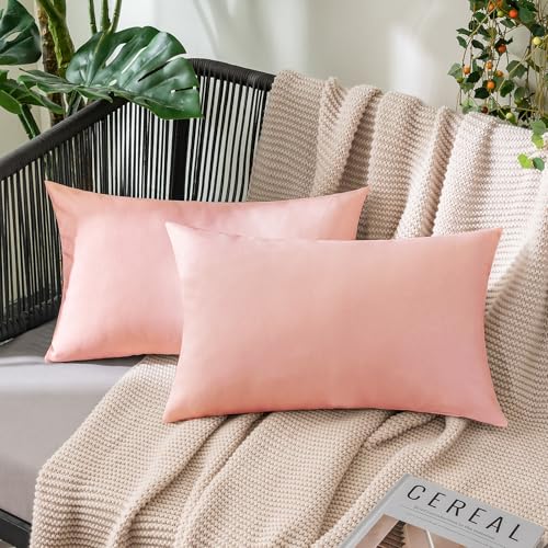 Decorative Outdoor Pillow Covers Lumbar Waterproof 12x20 Light Pink (20" x 12" (Pack of 2) / Light Pink)