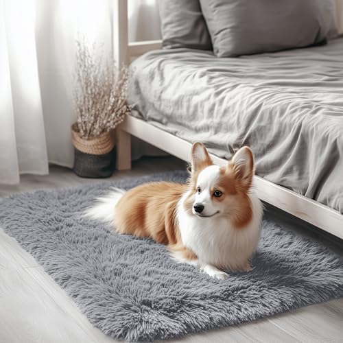 2x2 Machine Washable Small Rug (2×2 Ft Square / Light Grey)