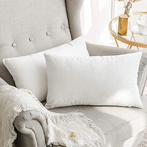 12x20 Inch Lumbar Velvet Throw Pillow Covers Pure White (20" x 12" (Pack of 2) / Pure White)