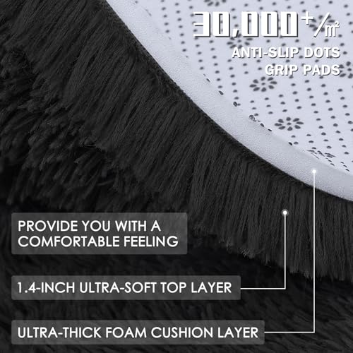 4x7 Area Rugs for Living Room Bedroom (4x7 Ft / Black)
