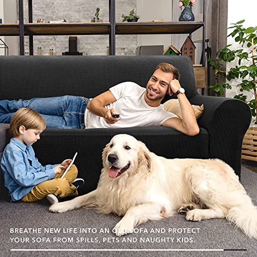 Super Stretch Couch Cover Love Seat Sofa Covers for Living Room Dogs Pet Friendly Furniture Protector Spandex Loveseat Slipcovers with Anti Slip Foam Sticks (Black / Medium (57"-70"))