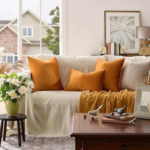 Orange Velvet Pillow Covers 26x26 Decorative Pillows Pack of 2 (Orange / 26" x 26" (Pack of 2))