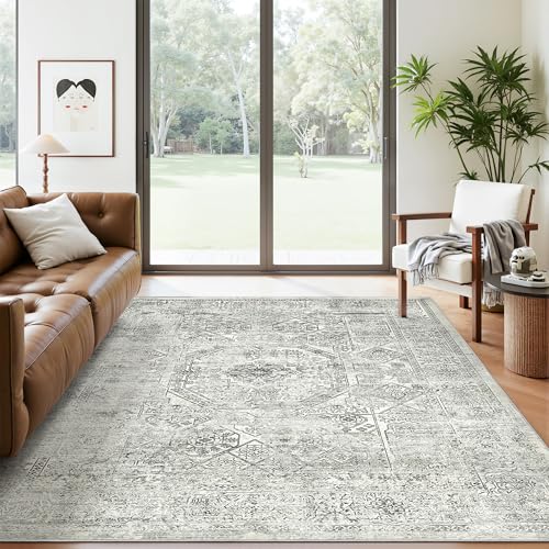 6x9 Area Rug for Living Room Washable Non (Light Gray / 6' x 9' (Rectangular))
