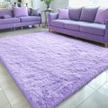 5x7 Machine Washable Large Area Rugs for Living Room (5x7 Ft / Light Purple)
