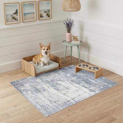 Washable 2x3 Entryway Area Rug (2' x 3' (Rectangular) / Blue/Ivory)
