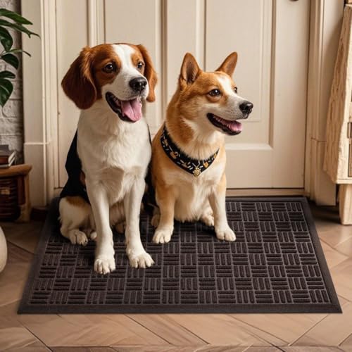 Front Door Mat Outside Entrance (Coffee / 3' x 5'2" (Rectangular))