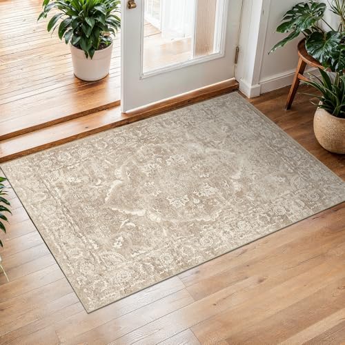 2x3 Washable Area Rug for Entryway (Natural Beige / 2x3)