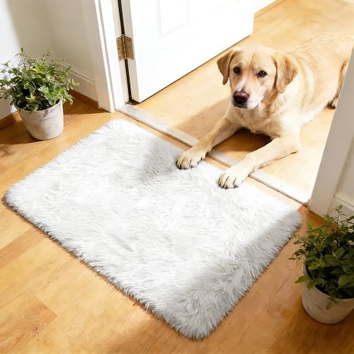 2x3 Area Rugs for Bedroom (White / 2' x 3' (Rectangular))