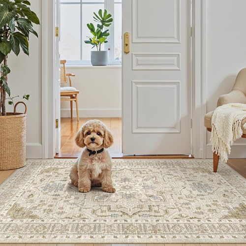 Washable Entry Rug 3x4 Area Rugs for Entryway Kitchen (Beige/Blue / 3' x 4' (Rectangular))