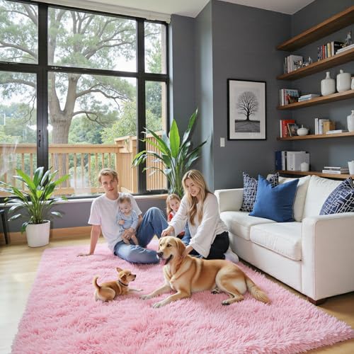 Small Shag Area Rug for Bedroom (Pink / 2' x 3' (Rectangular))