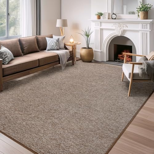 4x6 Area Rugs for Living Room Non Slip Dorm Bedroom Rug (4' x 6' (Rectangular) / Matte Brown)