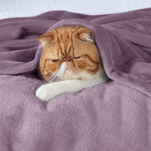 GentleSoft Fleece King Size Blankets for Bed Lavender (Lavender / King (108" x 90"))