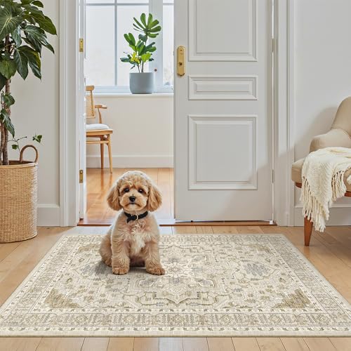 Washable Area Rug 2x3 Small Entryway Rugs Non (Beige/Blue / 2' x 3' (Rectangular))