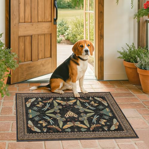 Small Black Entryway Rug (2' x 3' (Rectangular) / Black / Multi)