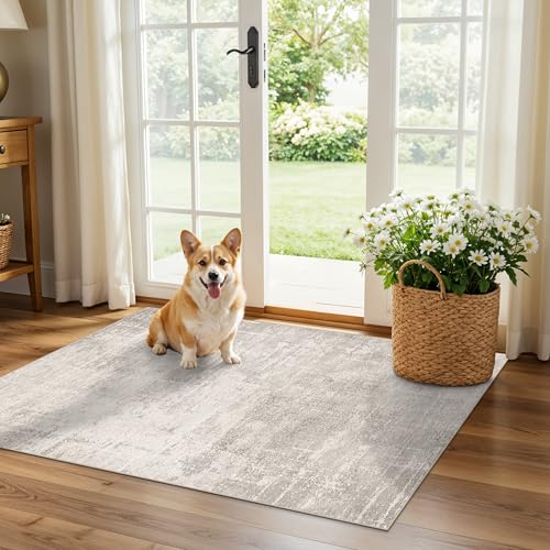 HAOYUNLAI 2x3 Entryway Area Rug (2' x 3' (Rectangular) / Beige/Cream)