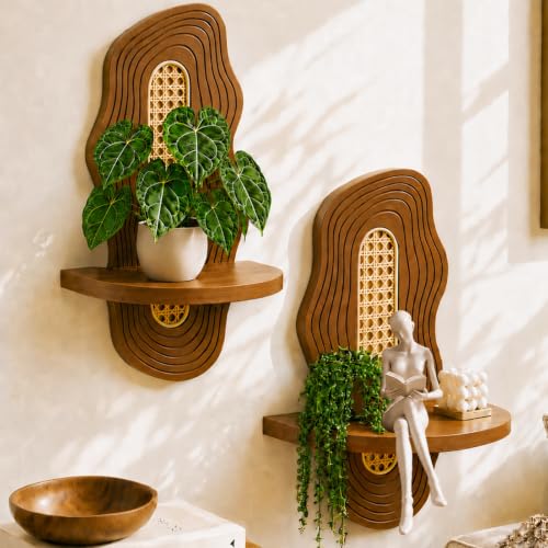 Boho Wall Decor Plant Shelves 2 Pack