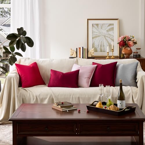 Burgundy Velvet Pillow Covers 12x20 Decorative Pillows Pack of 2 (Burgundy / 20" x 12" (Pack of 2))