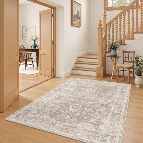 Washable Area Rug 4x6 for Living Room (Brown/Sand / 4' x 6' (Rectangular))