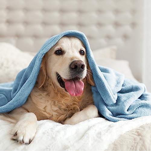 Fleece Blanket Soft Plush Twin Size Blanket Washed Blue 60"x80" (Washed Blue / Twin(60"x80"))