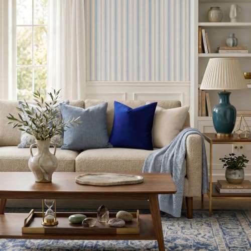 Royal Blue Velvet Throw Pillow Covers 20x20 Pack of 2 (Royal Blue / 20" x 20" (Pack of 2))