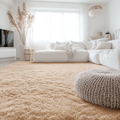 6x7 Area Rugs for Living Room Bedroom (6x7 Ft / Beige)