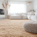 7x9 Machine Washable Large Area Rugs for Living Room (7x9 Ft / Beige)
