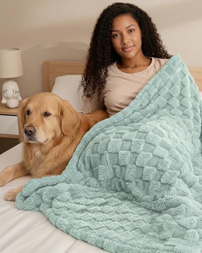 Plush Checkered Fleece Blanket Sage Green Throw (Sage Green / Throw)